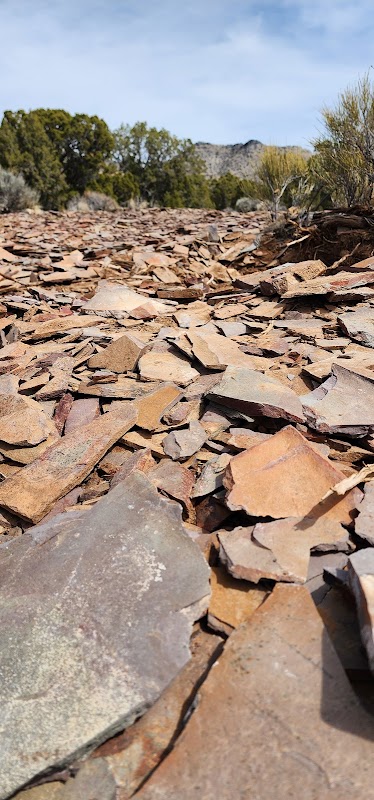 Unearth the Past at Oak Springs Trilobite Area - Oak Springs Trilobite Area