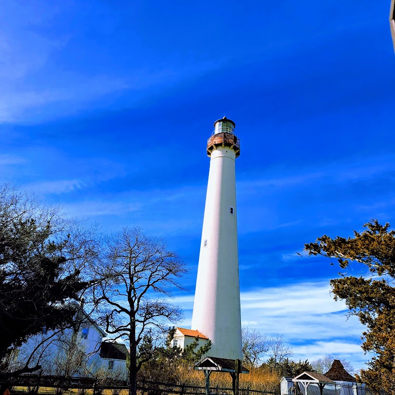 Nature's Retreat at Cape May Point State Park - Cape May Point State Park