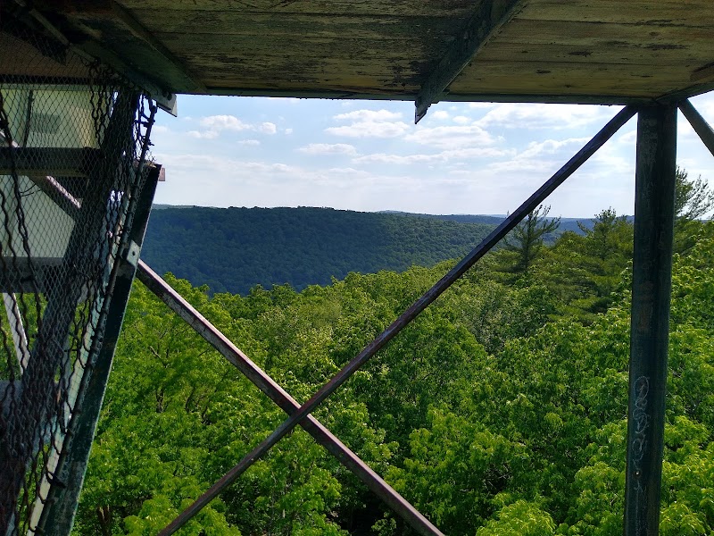 Wander Through Cook Forest: A Natural Gem outdoor detail