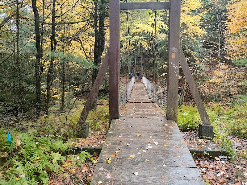 Wander Through Cook Forest: A Natural Gem surrounding landscape