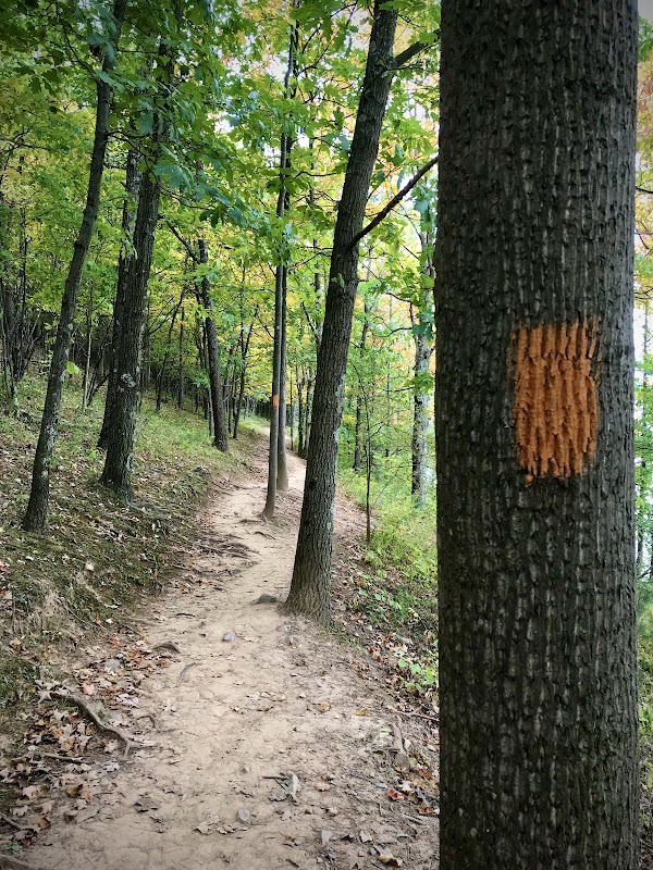 Scenic Trails Along Cumberland's Lakeside Loop outdoor detail