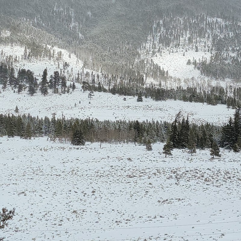 Nature's Tranquil Escape: Dillon Nature Preserve Trailhead surrounding landscape
