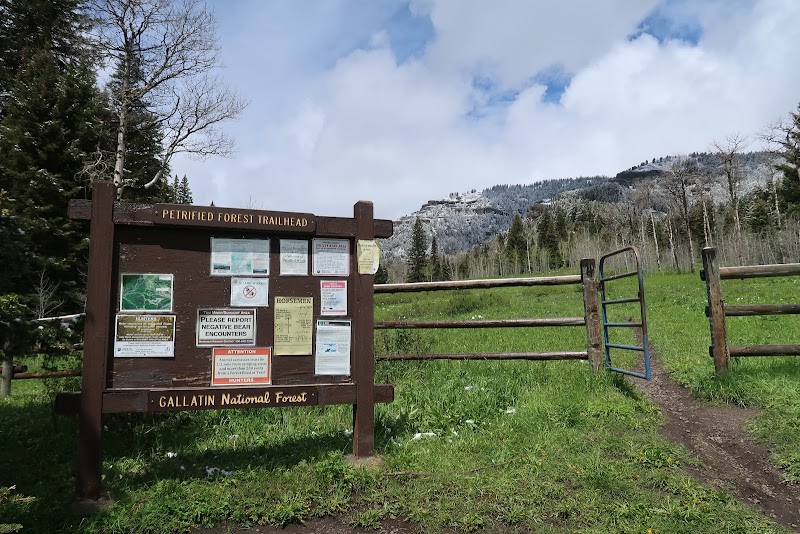 Mountain Tranquility: Tom Miner Campground surrounding landscape