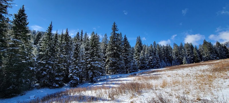 Mountain Tranquility: Tom Miner Campground - Tom Miner Campground