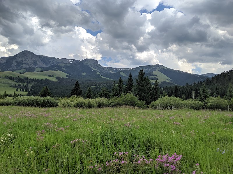 Mountain Tranquility: Tom Miner Campground - Tom Miner Campground