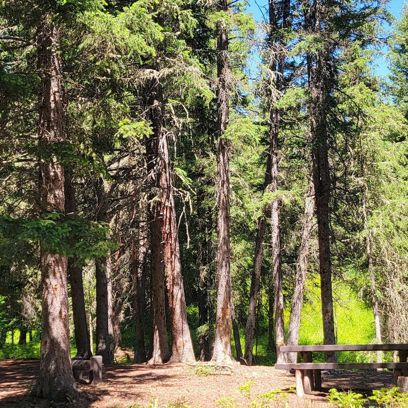 Mountain Tranquility: Tom Miner Campground outdoor detail