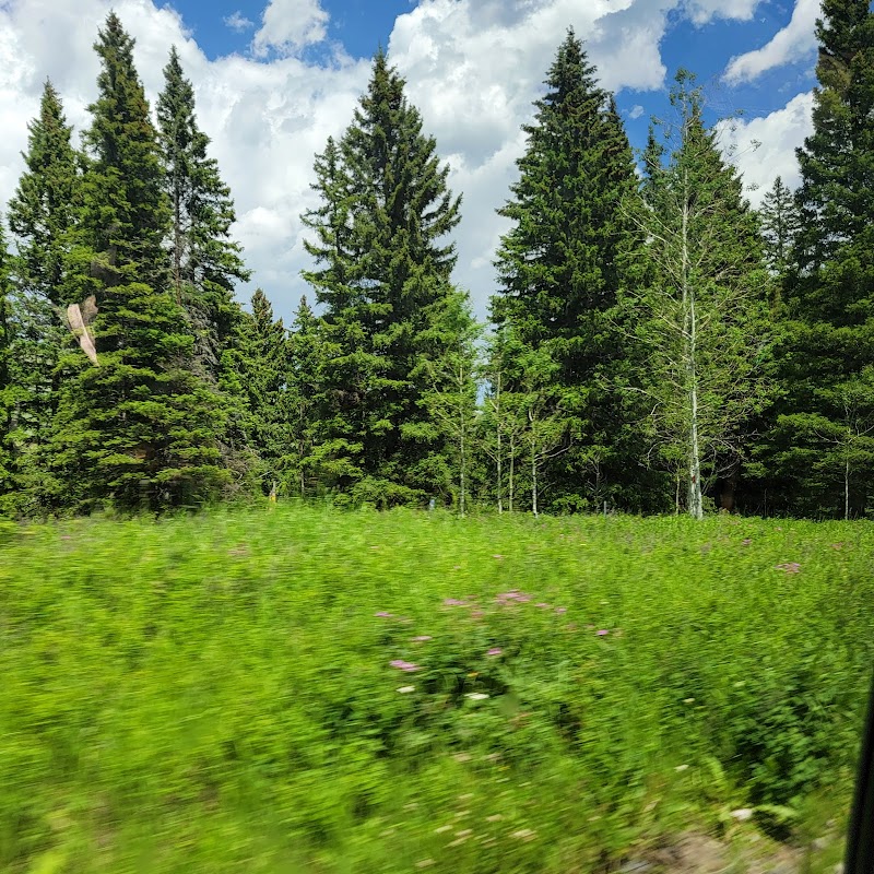 Mountain Tranquility: Tom Miner Campground - Tom Miner Campground