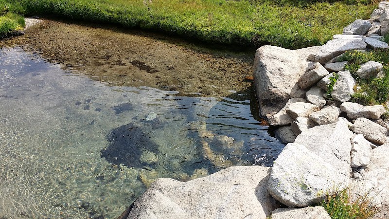 Discover the Wilderness: Two Pan Trail Head surrounding landscape