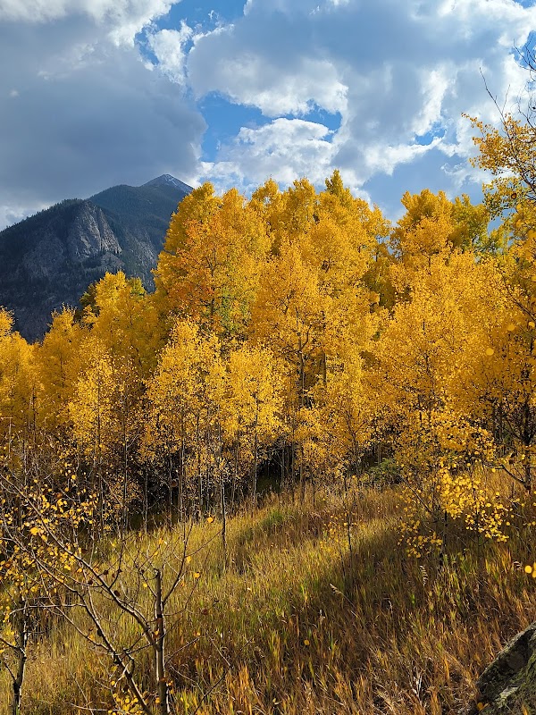 Scenic Splendor at Meadow Creek Trailhead surrounding landscape