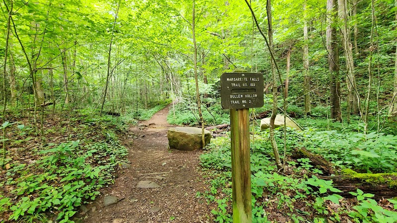 Nature's Tranquil Escape: Margarette Falls outdoor detail
