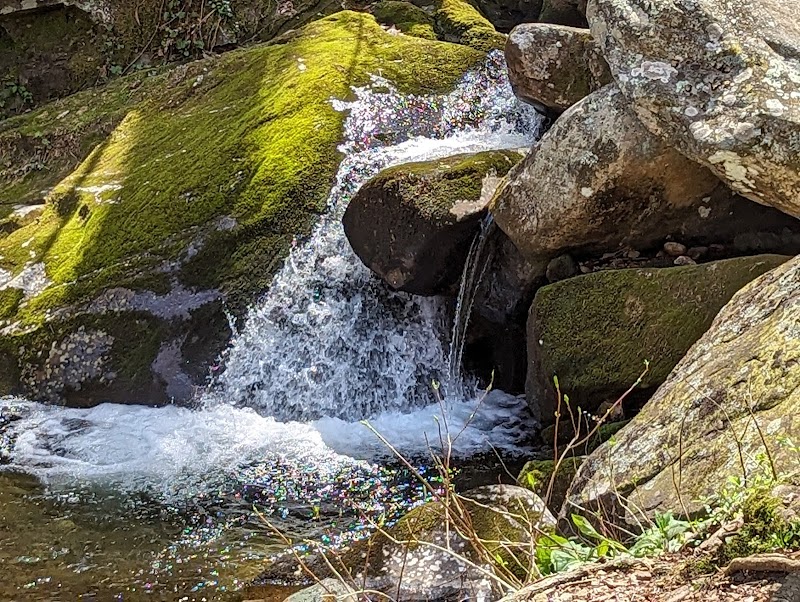 Nature's Tranquil Escape: Margarette Falls surrounding landscape