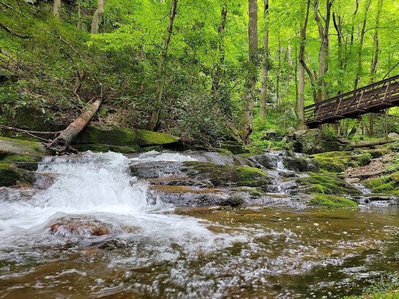 Nature's Tranquil Escape: Margarette Falls - Margarette Falls Trailhead Parking Area