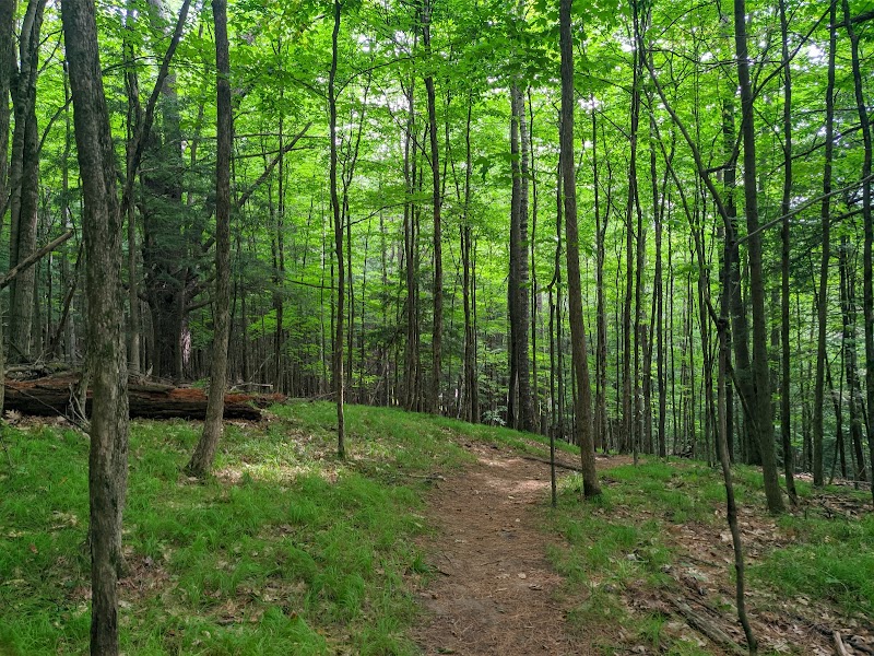 Scenic Trails at Balch Hill Natural Area surrounding landscape