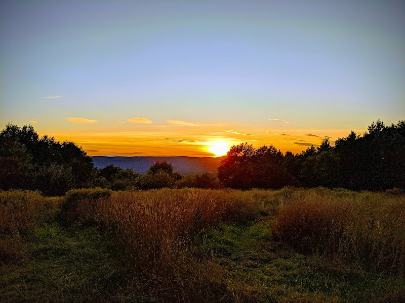 Scenic Trails at Balch Hill Natural Area - Grasse Road Trailhead - Balch Hill Natural Area
