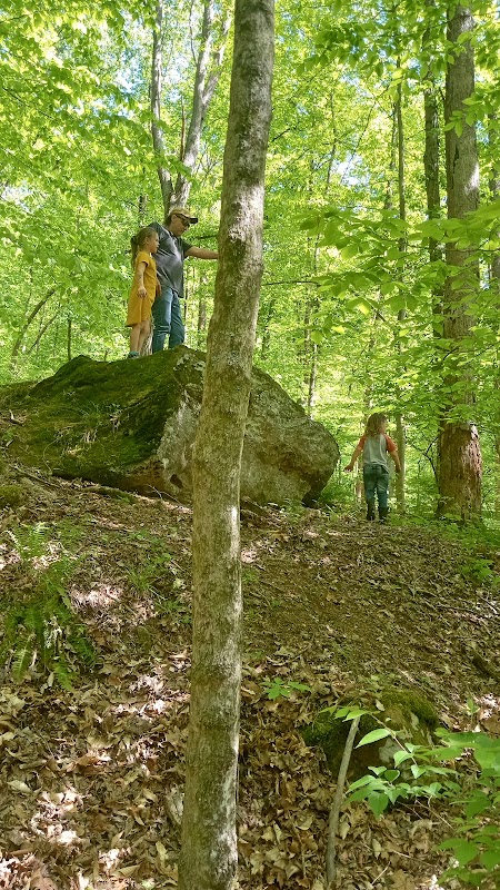 Nature's Retreat: Huntington Museum of Art Nature Trail surrounding landscape