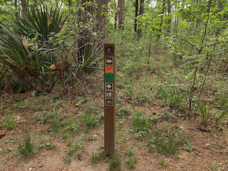 Serenity by the Lake: Huntsville State Park outdoor detail