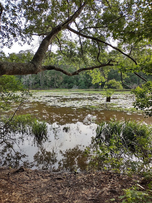 Serenity by the Lake: Huntsville State Park surrounding landscape