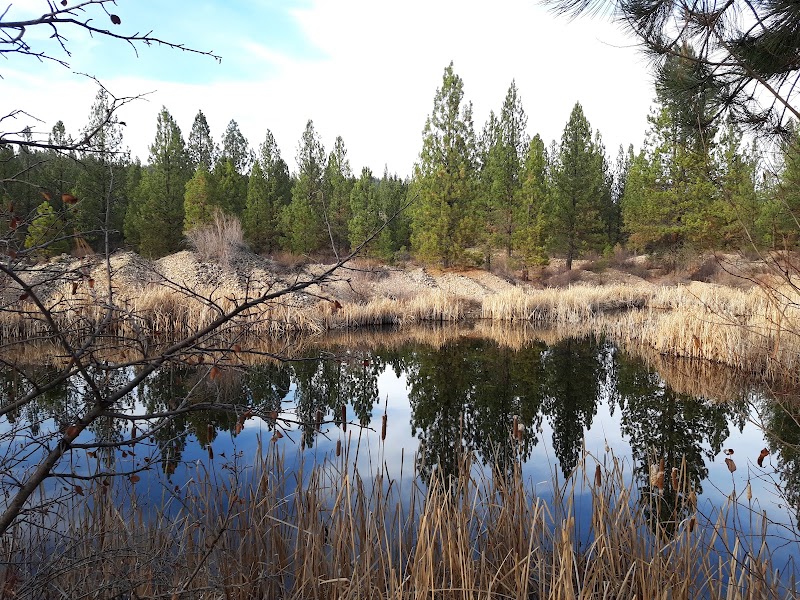 Nature's Retreat at Buena Vista Trailhead surrounding landscape
