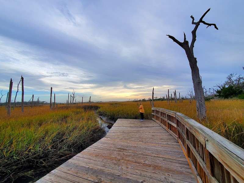 Cradle Creek Preserve adventures