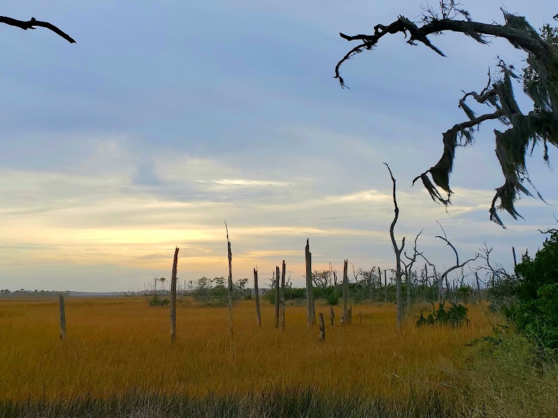 Cradle Creek Preserve's Natural Panorama in Jacksonville Beach surrounding landscape