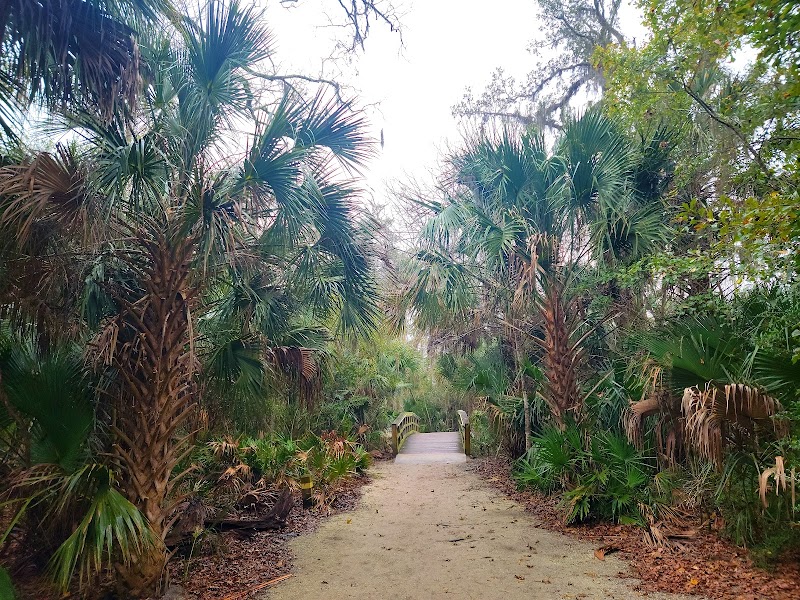 Cradle Creek Preserve's Natural Panorama in Jacksonville Beach - Cradle Creek Preserve