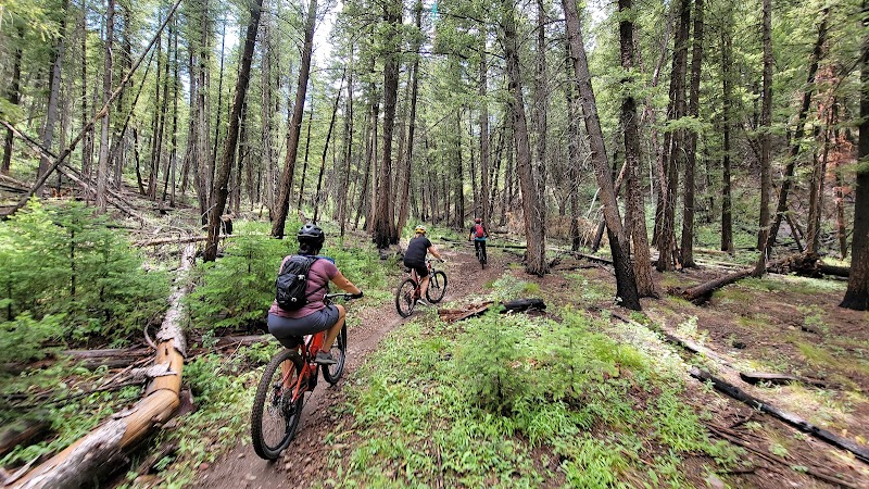 Hiking at Adam's Gulch Trailhead: A Scenic Escape in Ketchum, Idaho - Adam's Gulch Trailhead