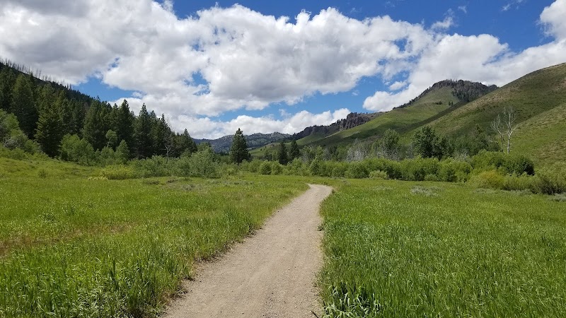 Hiking at Adam's Gulch Trailhead: A Scenic Escape in Ketchum, Idaho - Adam's Gulch Trailhead