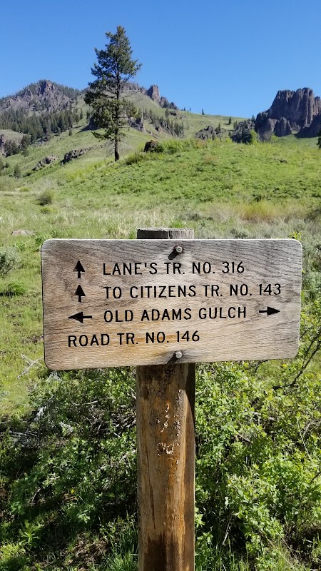 Hiking at Adam's Gulch Trailhead: A Scenic Escape in Ketchum, Idaho surrounding landscape