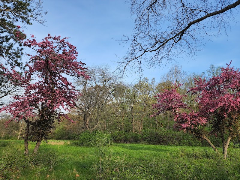 Nature's Path: Clippert St Trailhead - Lansing River Trail - Clippert St Trailhead - Lansing River Trail