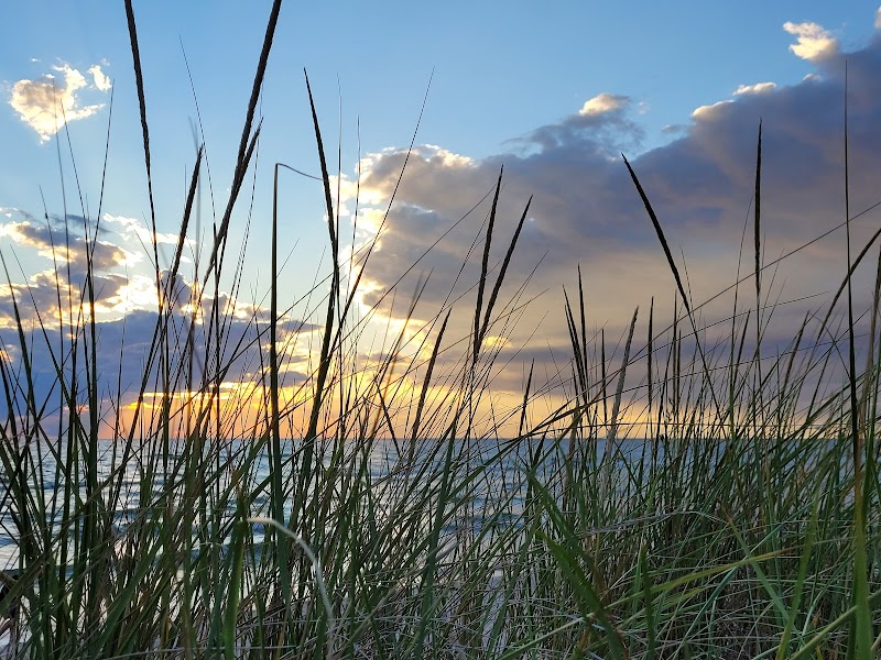 Sandy Shores of Ludington State Park surrounding landscape