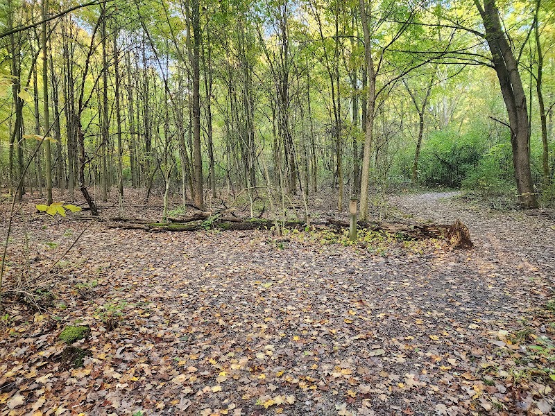 Discover the Tranquility of Schleman Nature Preserve outdoor detail