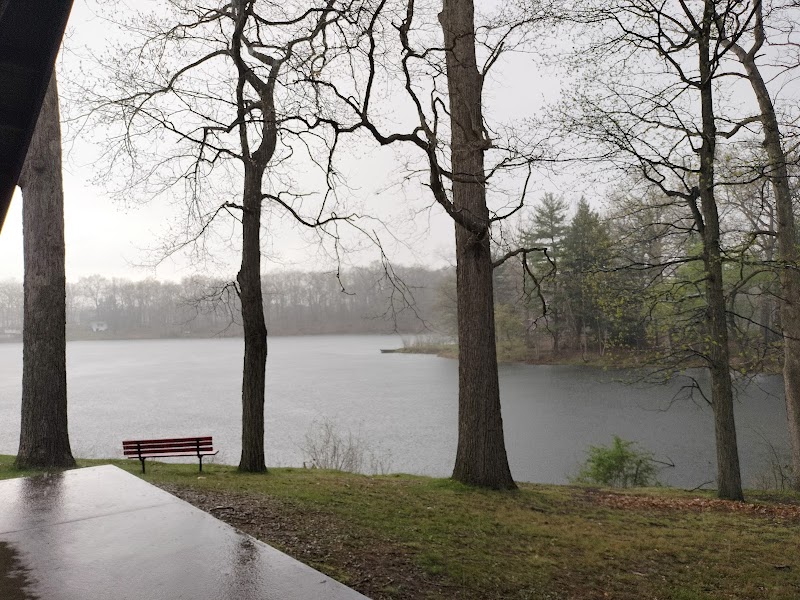 Discover the Beauty of Wingfoot Lake State Park surrounding landscape