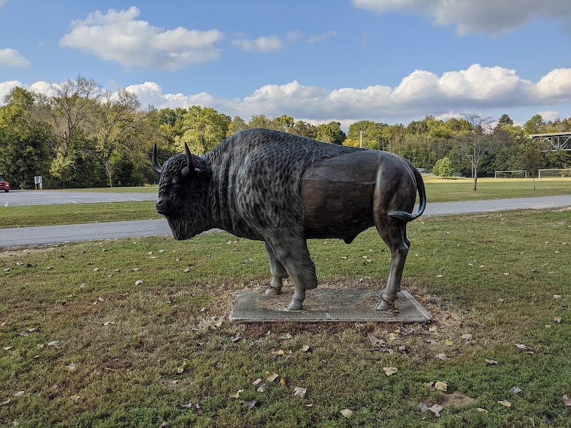 Discover the Tranquil Green River Park & Arboretum - Green River Park & Arboretum