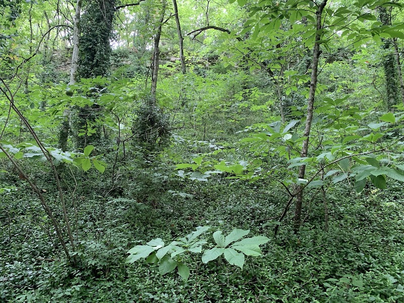 Discover the Tranquil Green River Park & Arboretum - Green River Park & Arboretum