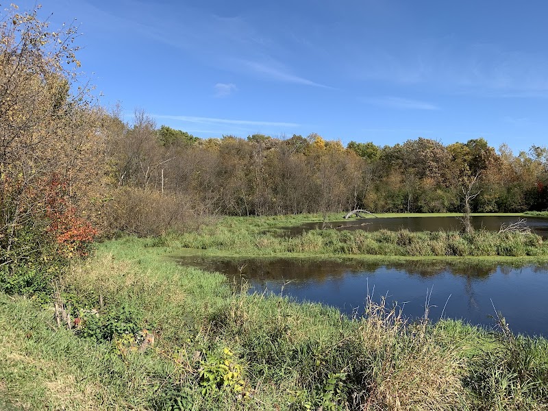 Tranquil Trails at Hauberg Woods surrounding landscape