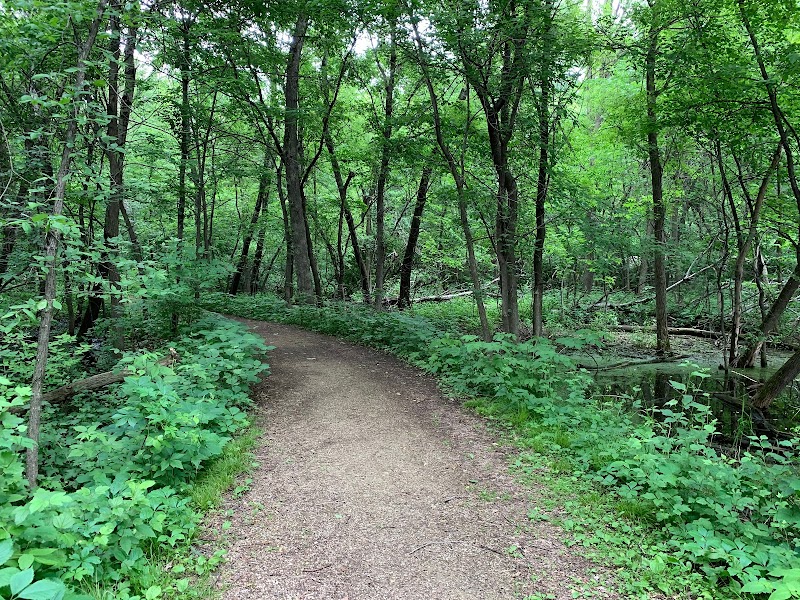 Tranquil Trails at Hauberg Woods outdoor detail