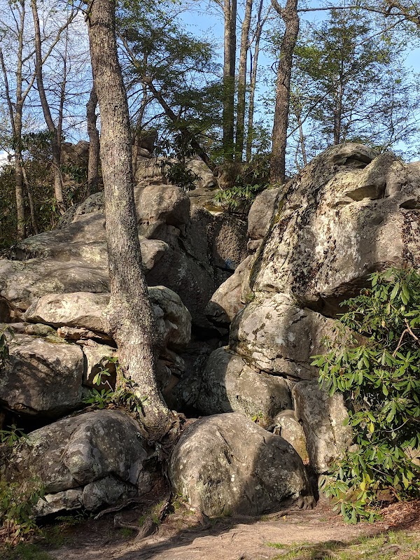 Exploring Flag Rock Recreation Area in High Knob surrounding landscape
