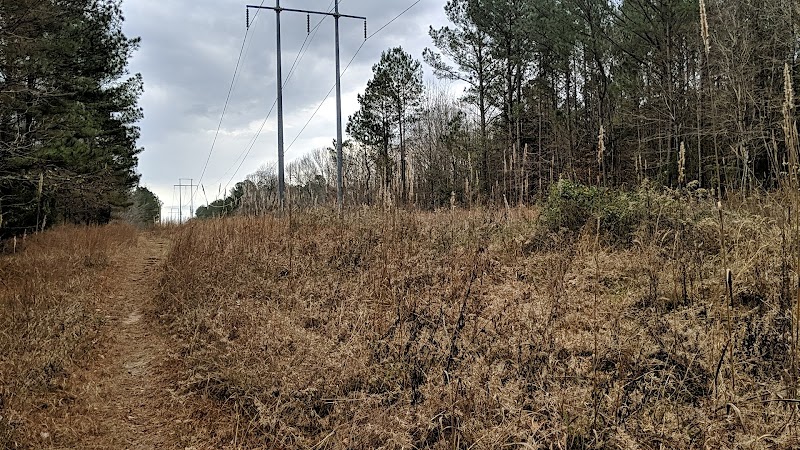 Biking Bliss: South Campus Mountain Bike Trails surrounding landscape
