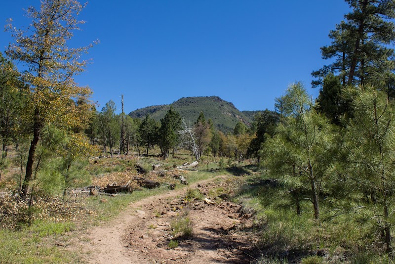 Exploring the AZT Pine Trailhead in Arizona surrounding landscape