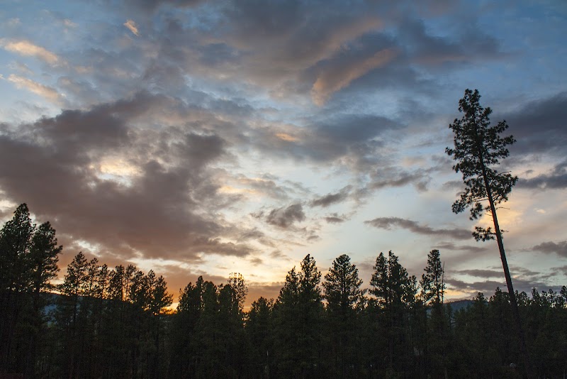 Exploring the AZT Pine Trailhead in Arizona outdoor detail