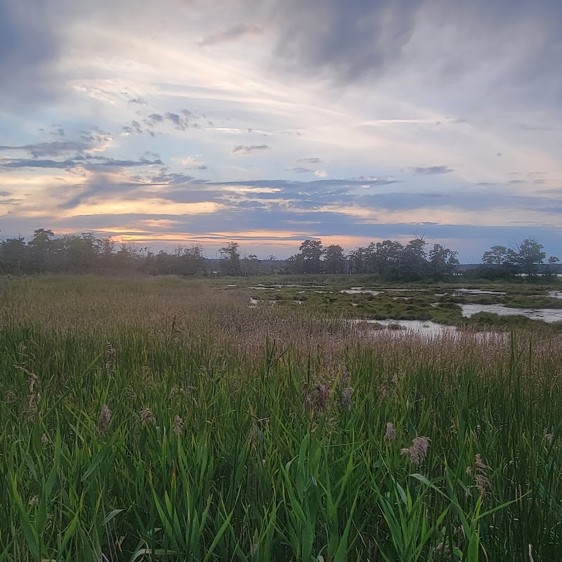 Serenity by the Water: The Sagamore Creek Experience surrounding landscape