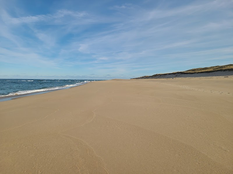 Sand and Solitude: Discovering the Dune Shacks Trail - Dune Shacks Trail