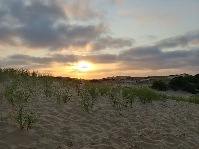 Sand and Solitude: Discovering the Dune Shacks Trail - Dune Shacks Trail