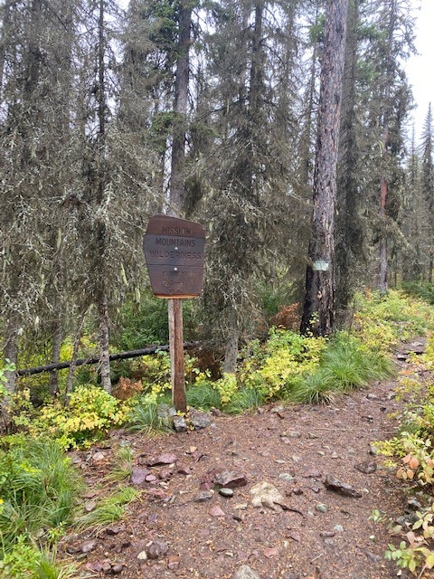Journey Amid the Rockies: Glacier Lake Trailhead surrounding landscape