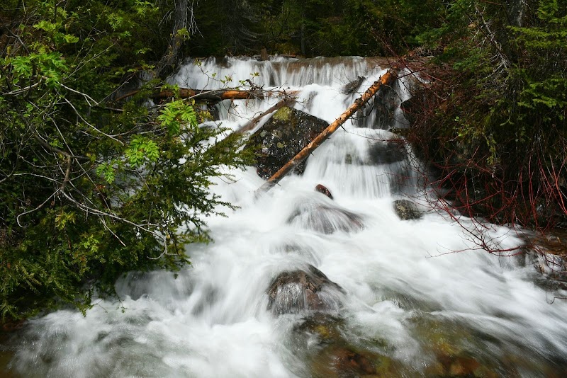Journey Amid the Rockies: Glacier Lake Trailhead outdoor detail