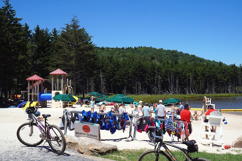 Relaxation at Shavers Lake surrounding landscape