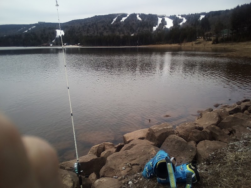 Relaxation at Shavers Lake outdoor detail