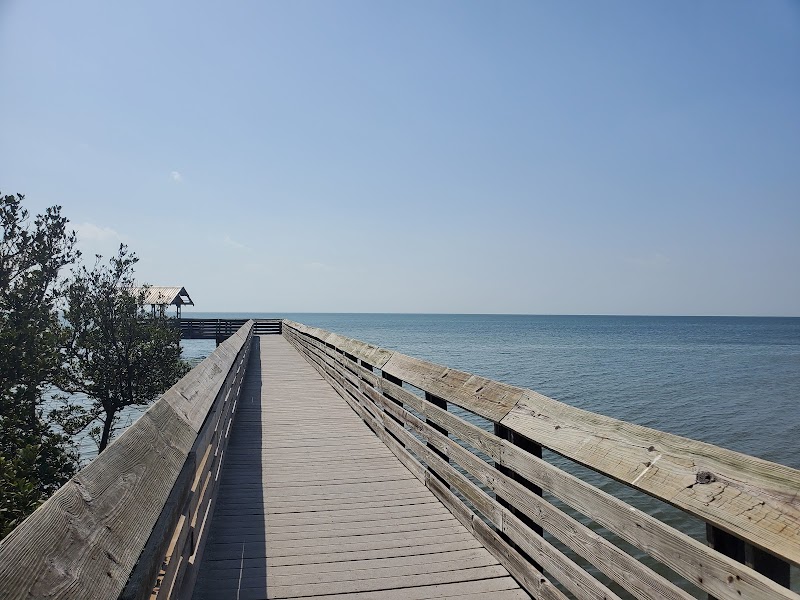 Discover Laguna Madre Nature Trail - Laguna Madre Nature Trail