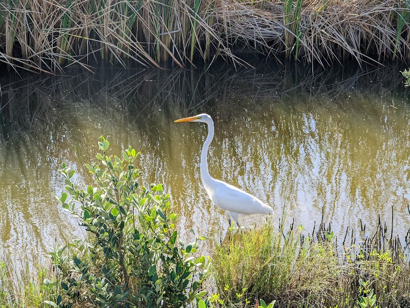 Discover Laguna Madre Nature Trail - Laguna Madre Nature Trail