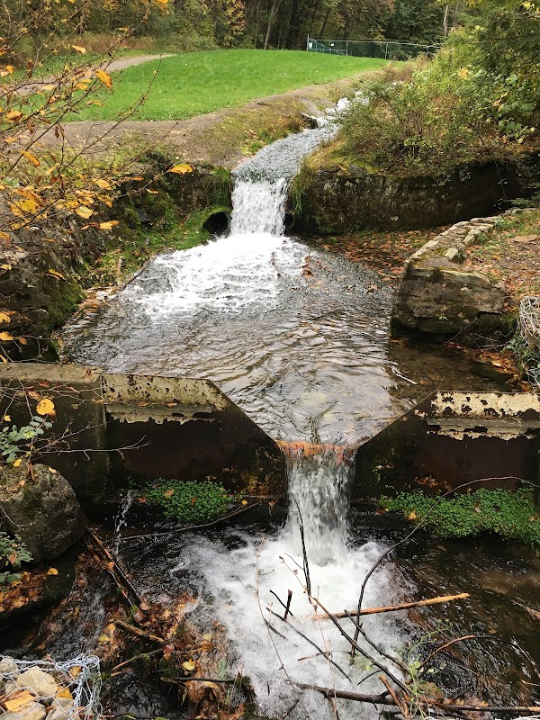 Ruins and Trails: Discovering Shingletown Gap outdoor detail